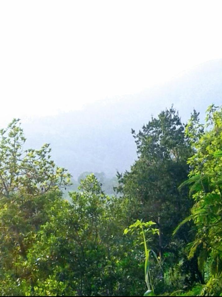 エッラGreen Jungle " Cool View"アパートメント エクステリア 写真