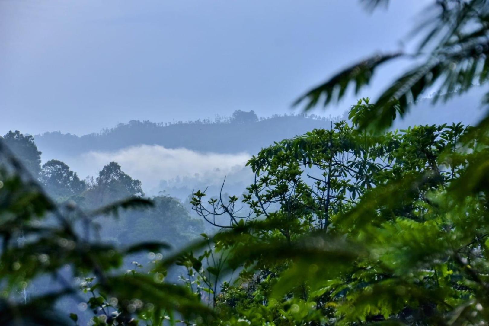 エッラGreen Jungle " Cool View"アパートメント エクステリア 写真