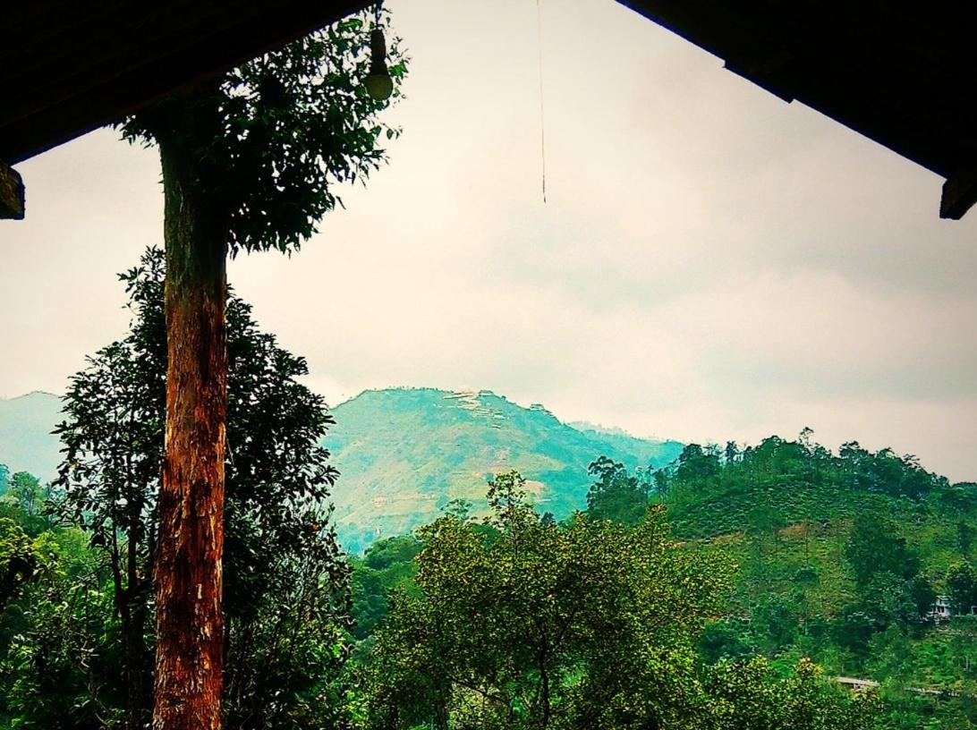 エッラGreen Jungle " Cool View"アパートメント エクステリア 写真