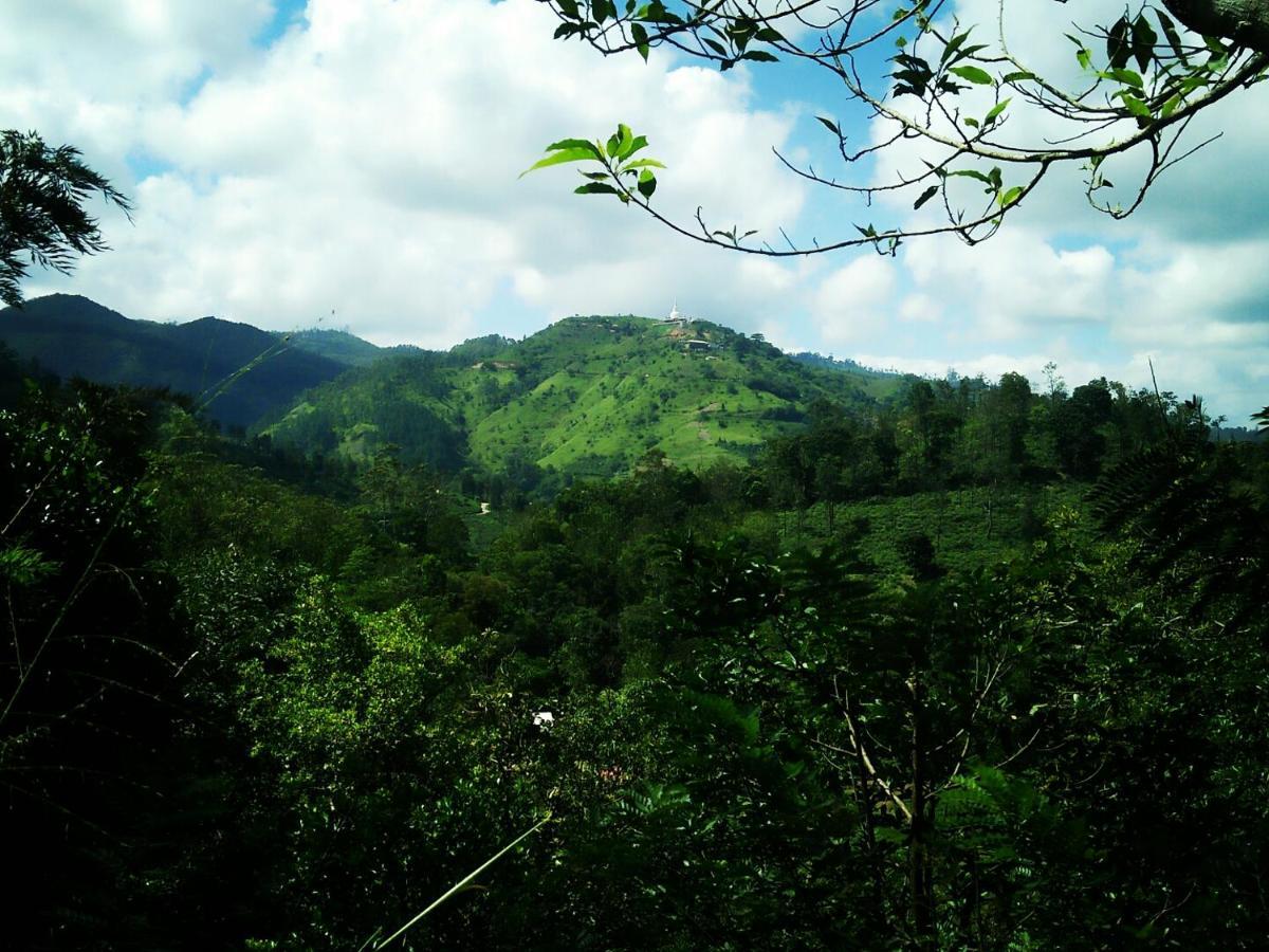 エッラGreen Jungle " Cool View"アパートメント エクステリア 写真